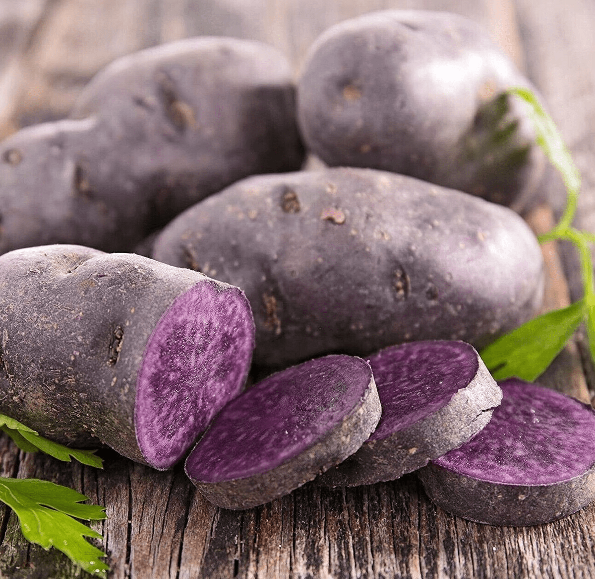 Blue Adirondack Seed Potatoes - USDA Certified, 500g Purple Potatoes for Planting, Nutrient - Rich, Vibrant & Versatile for Home Gardens - Prostatewellstore.com