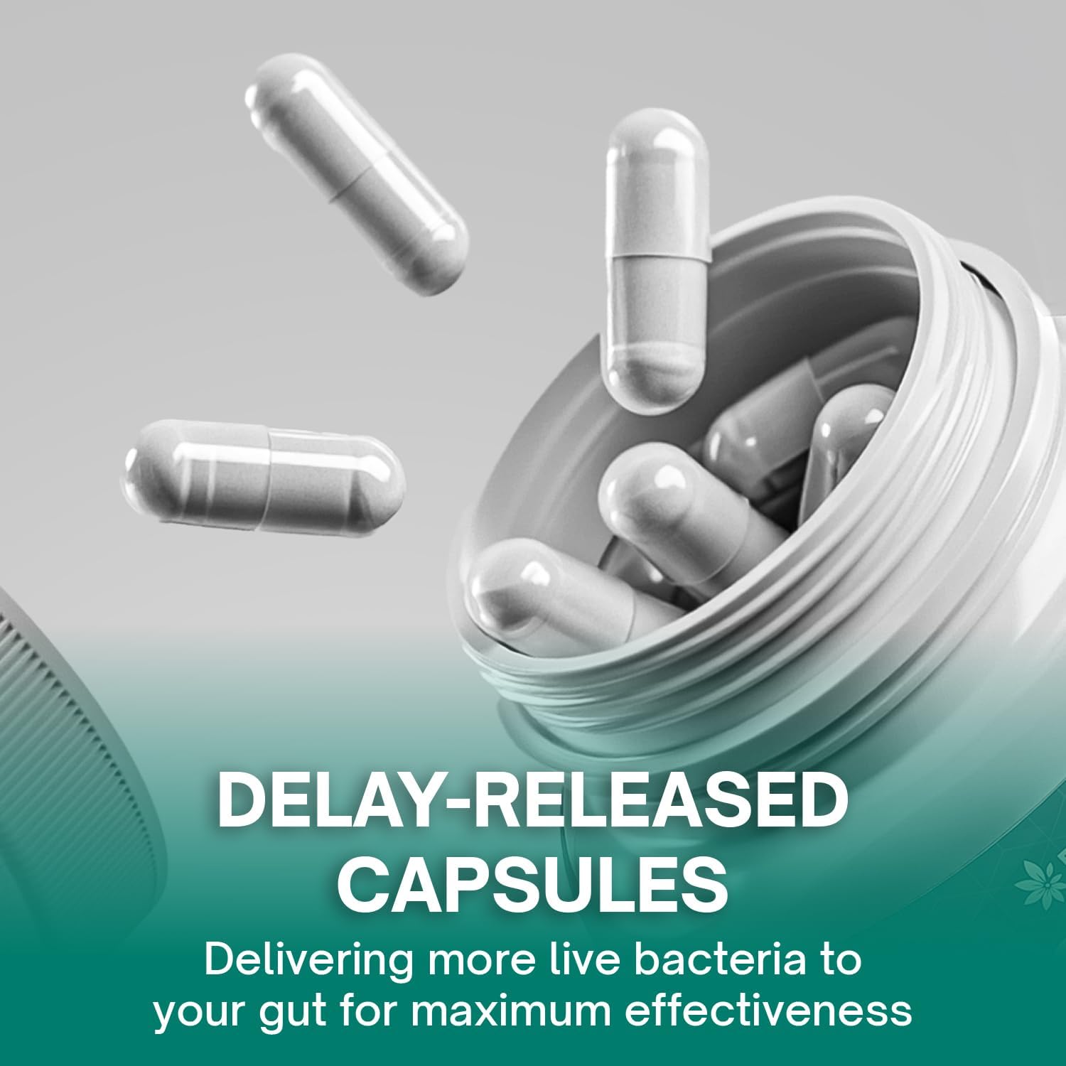 Christensenella Minuta and Akkermansia, Bifidobacterium longum, 8 Probiotic Strains, 50 Billion CFU with Cranberry Extract, Gut Health & Immune Support - Prostatewellstore.com