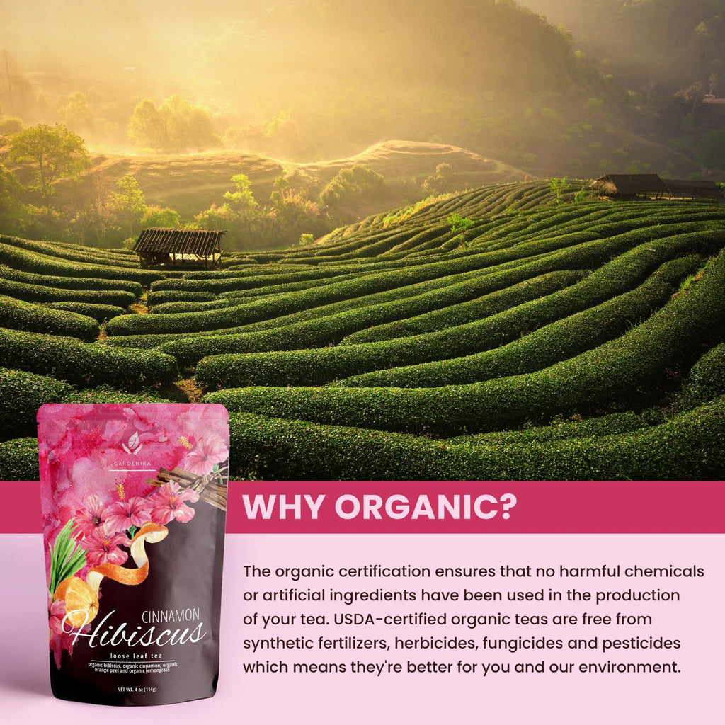 Cinnamon Hibiscus Tea, Antioxidant - Rich Herbal Blend | Organic - Prostatewellstore.com