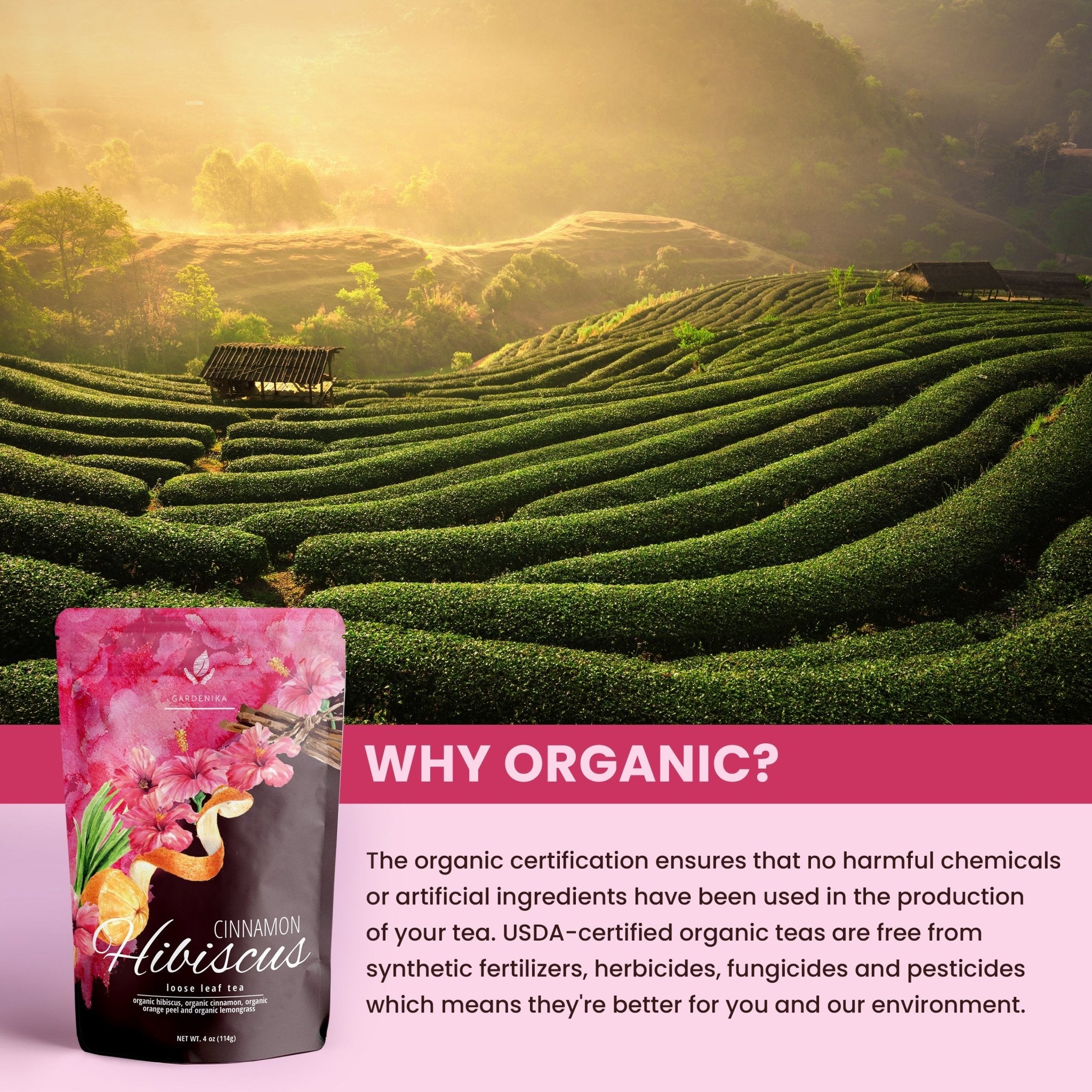 Cinnamon Hibiscus Tea, Antioxidant - Rich Herbal Blend | Organic - Prostatewellstore.com