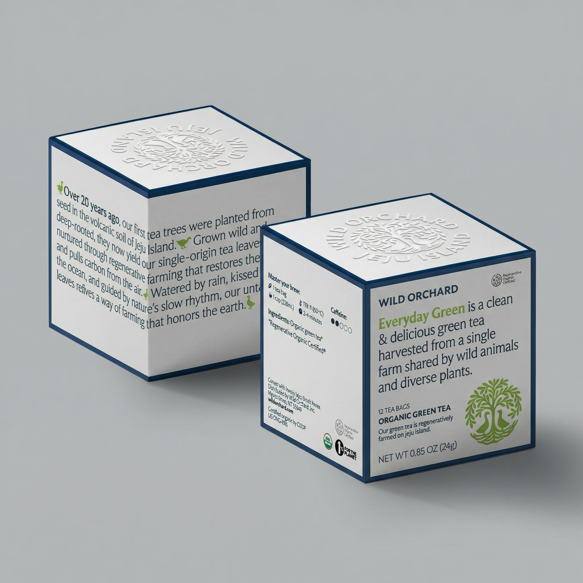 Everyday Green - Organic Green Tea Bag - Prostatewellstore.com
