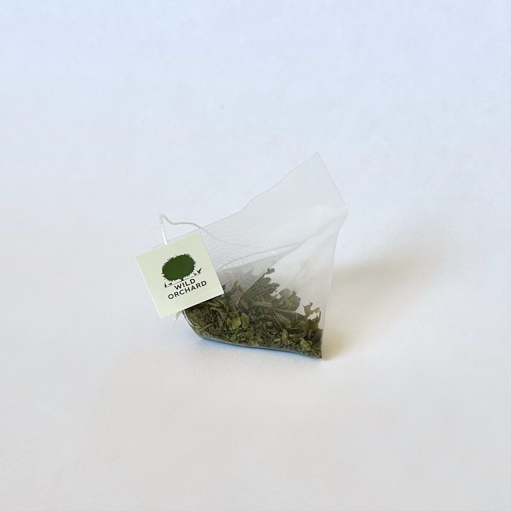 Everyday Green - Organic Green Tea Bag - Prostatewellstore.com