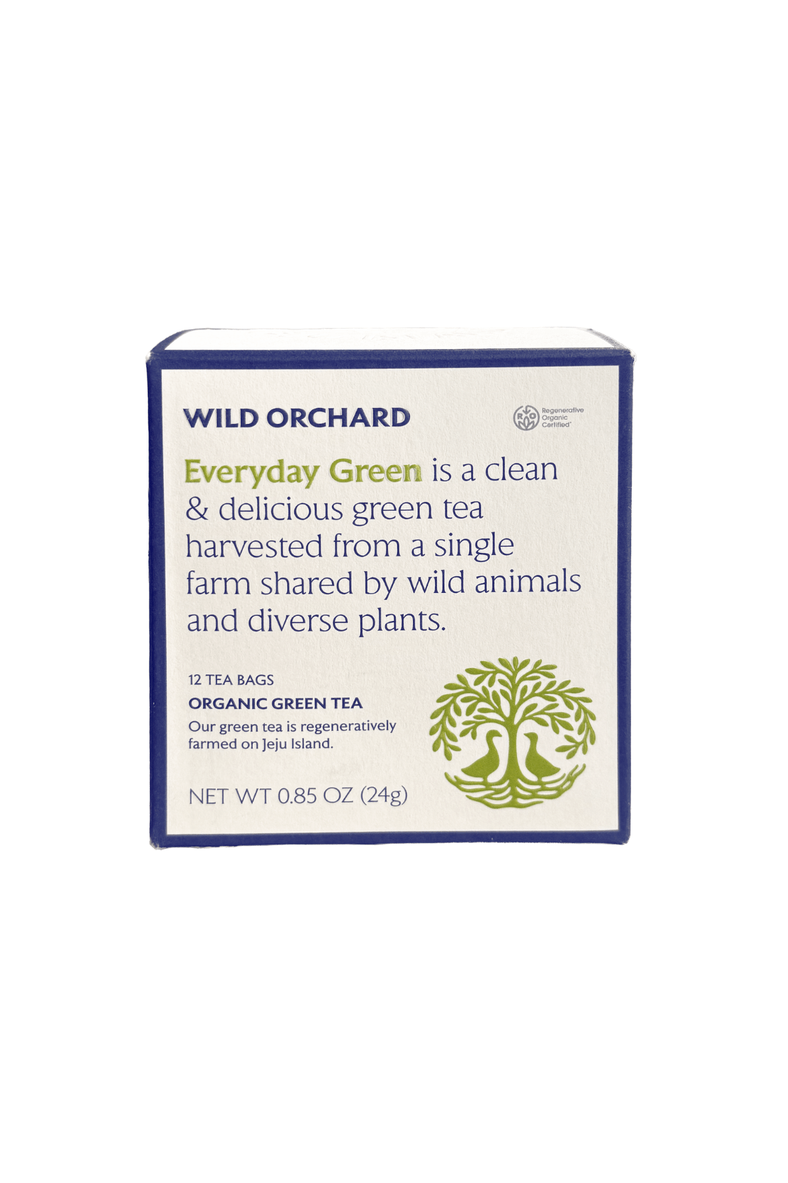 Everyday Green - Organic Green Tea Bag - Prostatewellstore.com