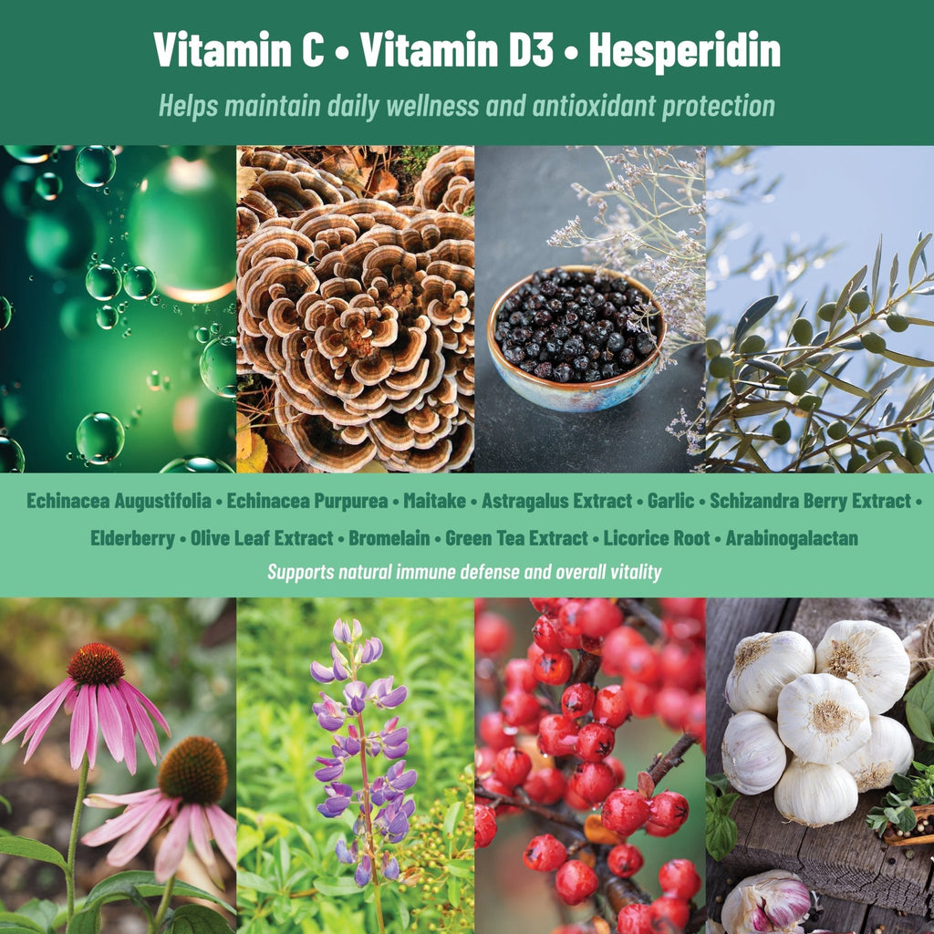 ImmuShield Patches Daily Wellness with Vitamin D3, Zinc & Plant Extracts, 36 patches - Prostatewellstore.com