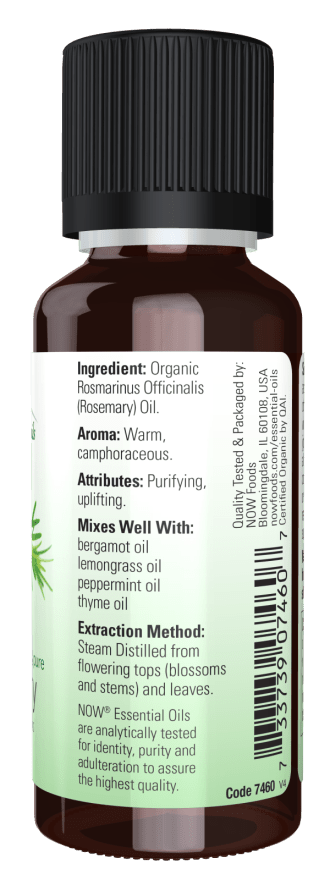 Rosemary Organic Essential Oil - Prostatewellstore.com
