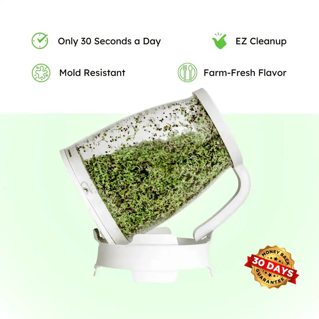 Sprout Spout Broccoli Starter Kit: Sprout Spout + 4oz or 1lb seeds + Free Sprout Scoop - Prostatewellstore.com