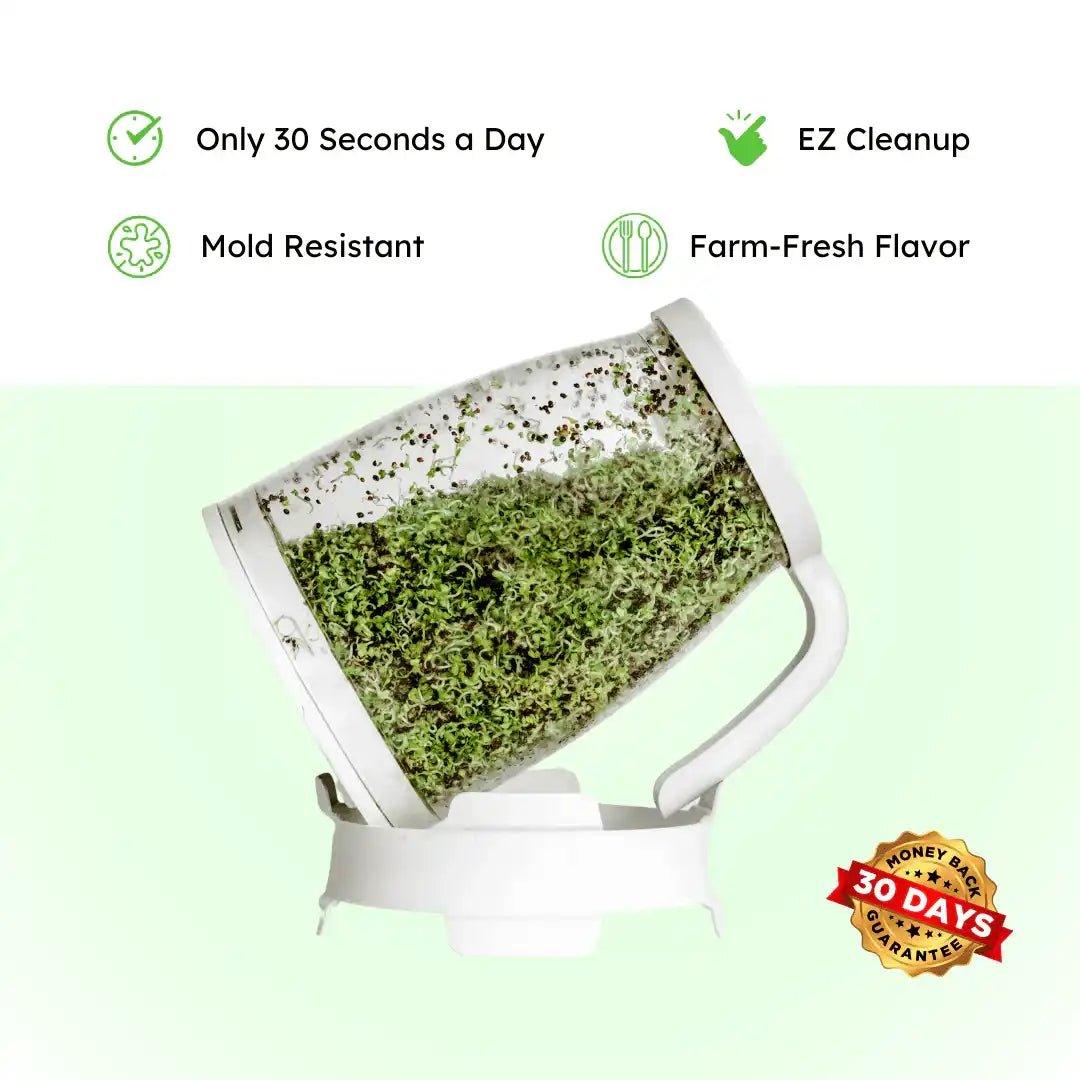 Sprout Spout Broccoli Starter Kit: Sprout Spout + 4oz or 1lb seeds + Free Sprout Scoop - Prostatewellstore.com